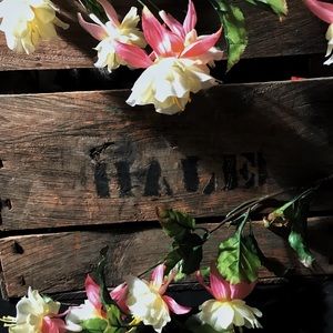 Meet your Posher, Ashlynn